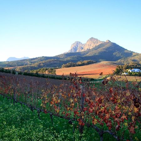 Bed and Breakfast Marianne Wine Estate Stellenbosch Exterior foto
