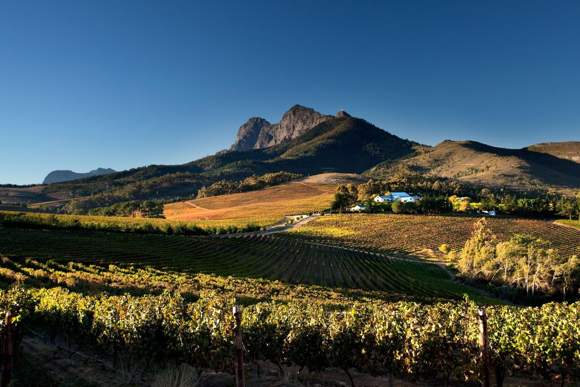 Bed and Breakfast Marianne Wine Estate Stellenbosch Exterior foto