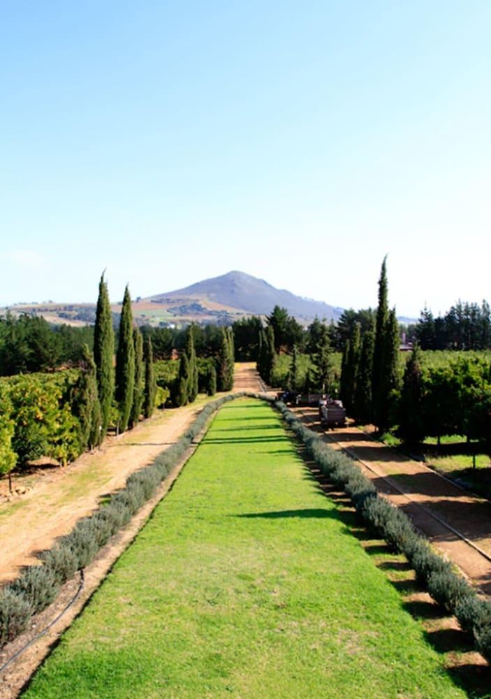 Bed and Breakfast Marianne Wine Estate Stellenbosch Exterior foto