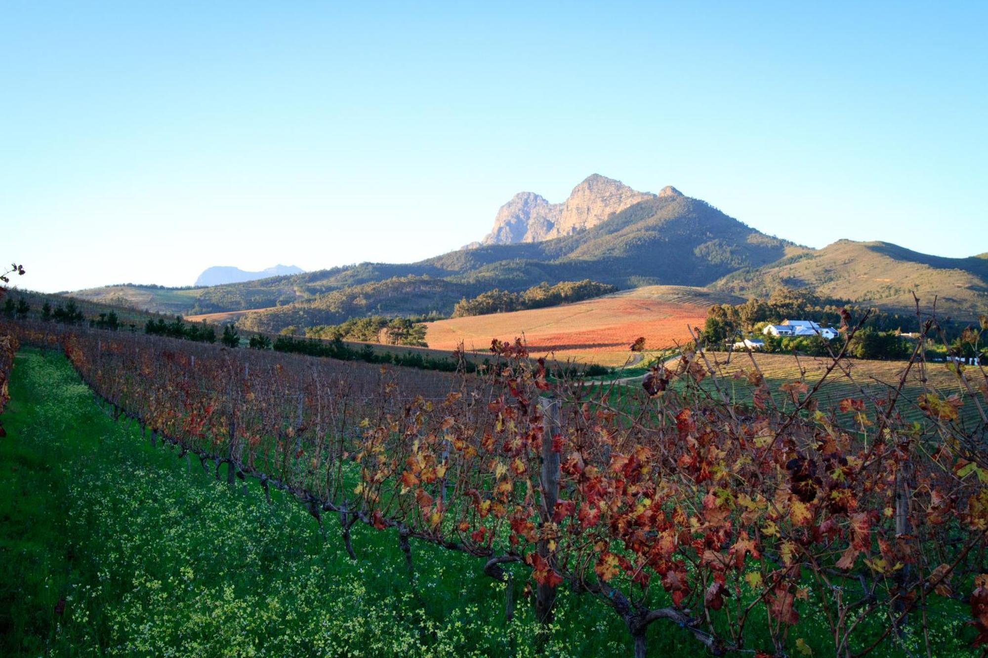 Bed and Breakfast Marianne Wine Estate Stellenbosch Exterior foto