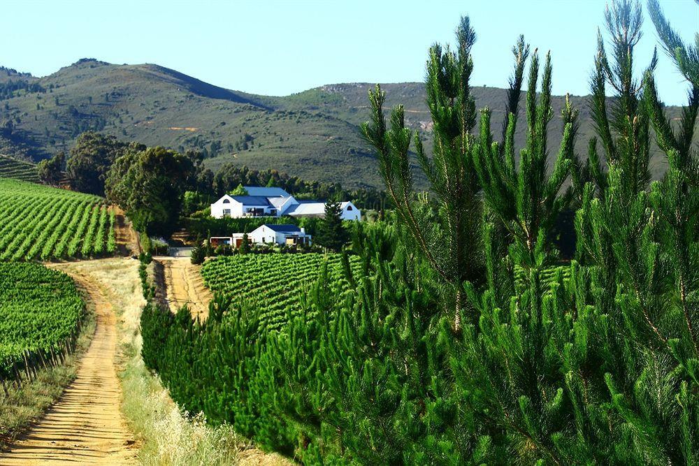 Bed and Breakfast Marianne Wine Estate Stellenbosch Exterior foto